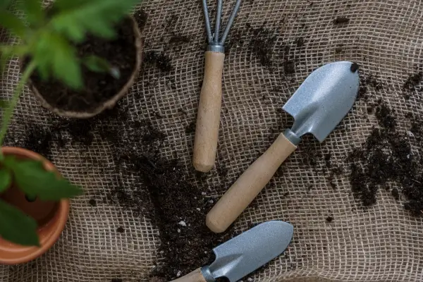 Plantas de Fácil Manutenção para Jardinagem Vertical: Beleza Sem Complicações