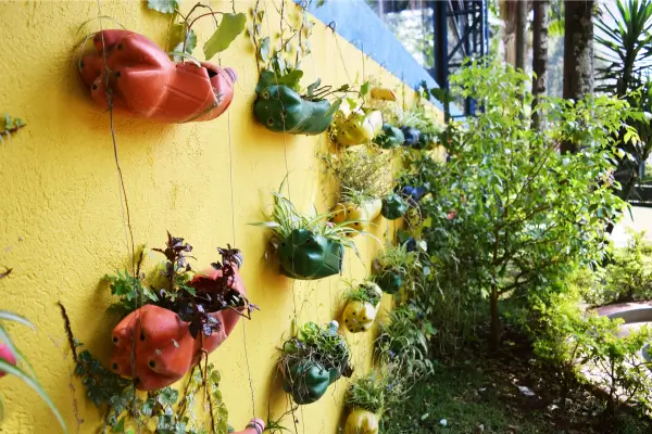 Escolhendo as Melhores Estruturas para Seu Jardim Vertical