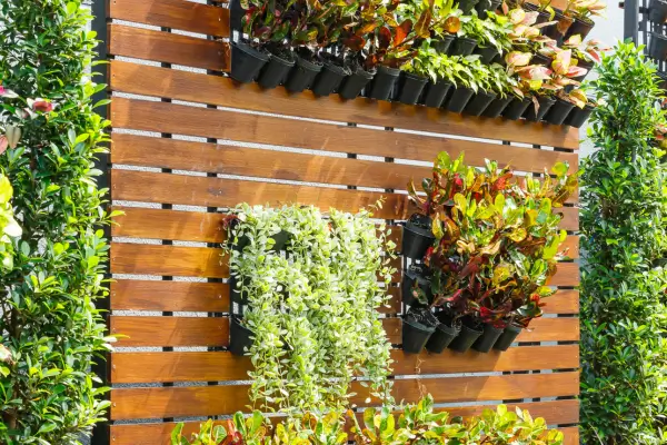 Plantas Tropicais para Jardinagem Vertical: Transforme seu Ambiente em um Paraíso Exótico